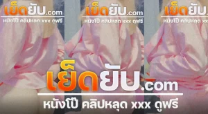 คลิปหลุด เจ้าแมวส้ม