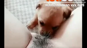 คลิปหลุด