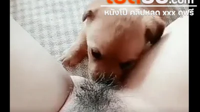 คลิปหลุด